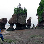 Hopewell Rock NB 009small