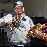 Man eating Lobster