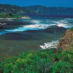 Reversing Falls